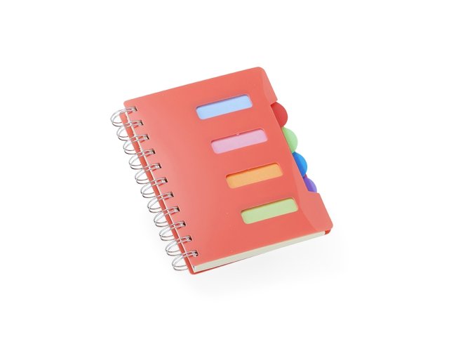 Caderno Pequeno com Divisrias