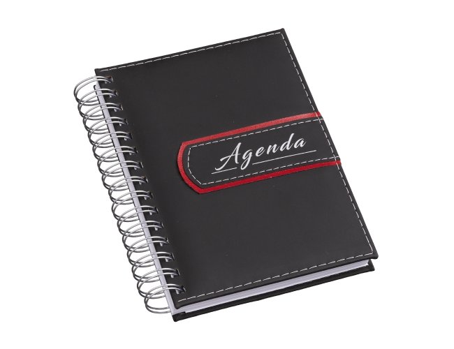 Agenda diria 2024 Wire-o