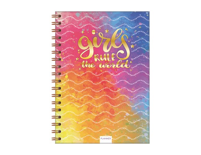 Planner Dirio Feminino (Pacote c/ 4 und)